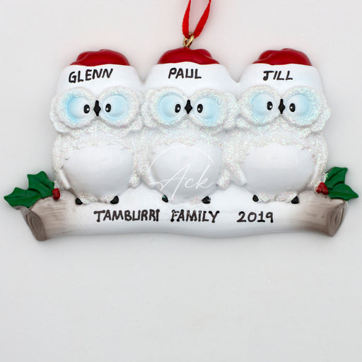 Owl Family of 3 Personalized Christmas Ornament